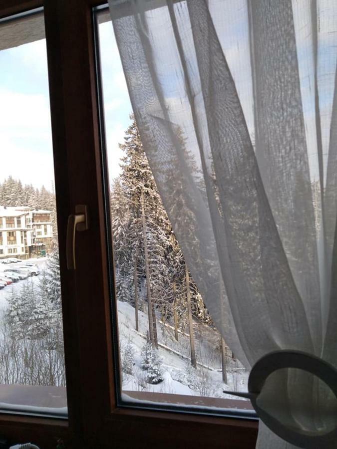 Пампорово Студио Милка В Хотел Росица Bagian luar foto