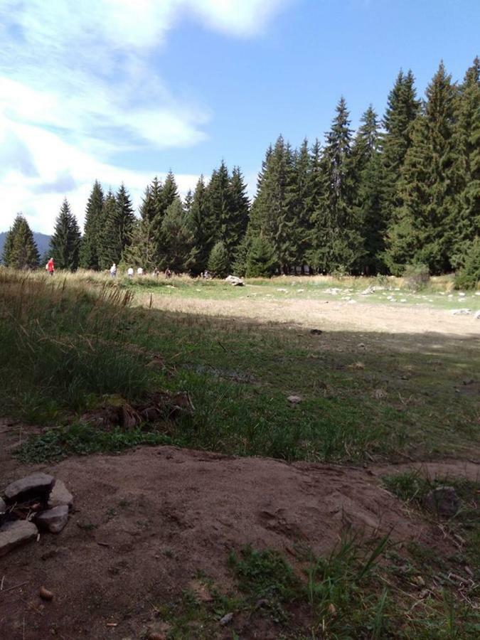 Пампорово Студио Милка В Хотел Росица Bagian luar foto