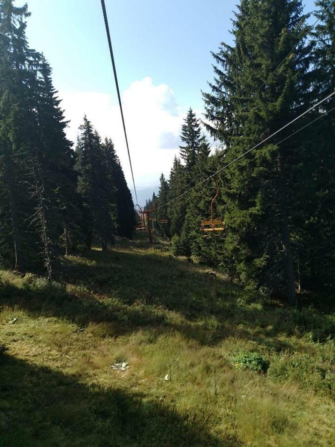 Пампорово Студио Милка В Хотел Росица Bagian luar foto